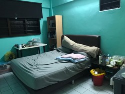 woodlands-street-41 photo thumbnail #2